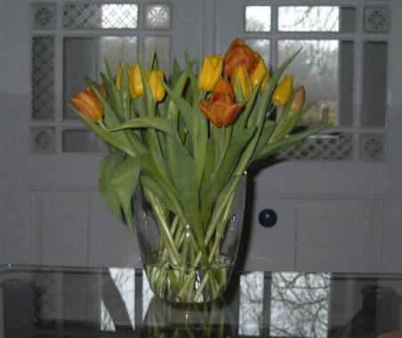 Tulpen